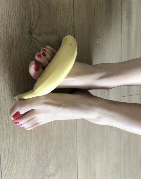 欢迎光临电视剧在线观看免费高清