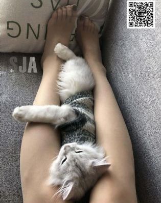 午夜小视频网站