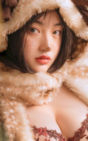 家有九凤电视剧全集完整版免费