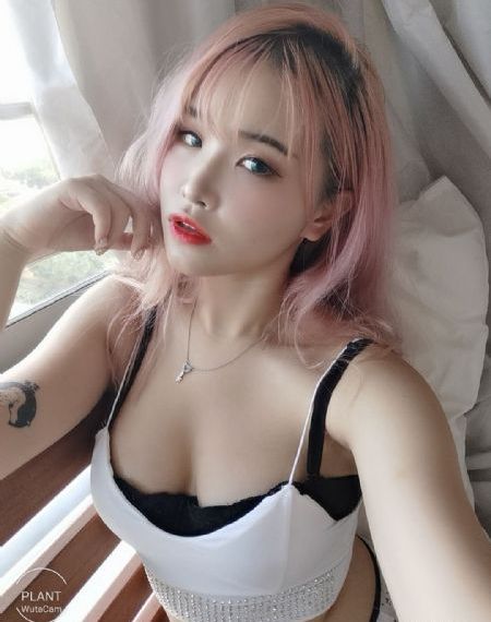 南来北往之老婆别哭