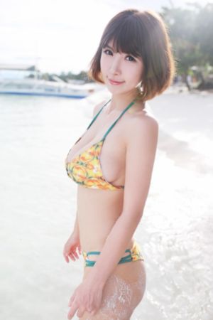 长月无烬电视剧免费观看完整版
