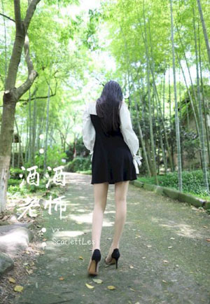 贵女电视连续剧免费播放