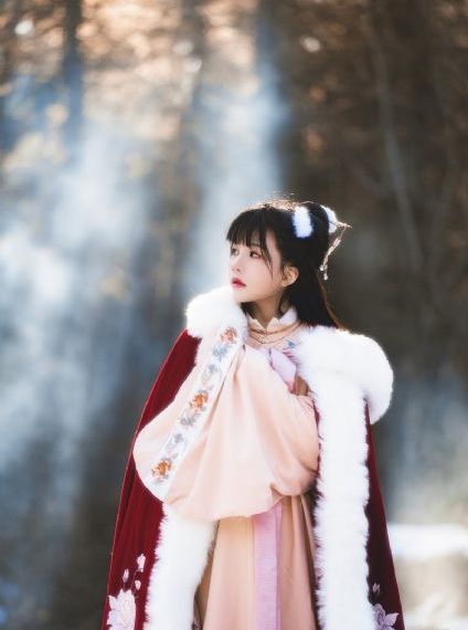 多男调教一女m视频在线观看
